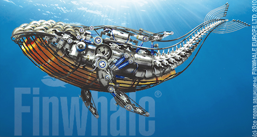 Finwhale